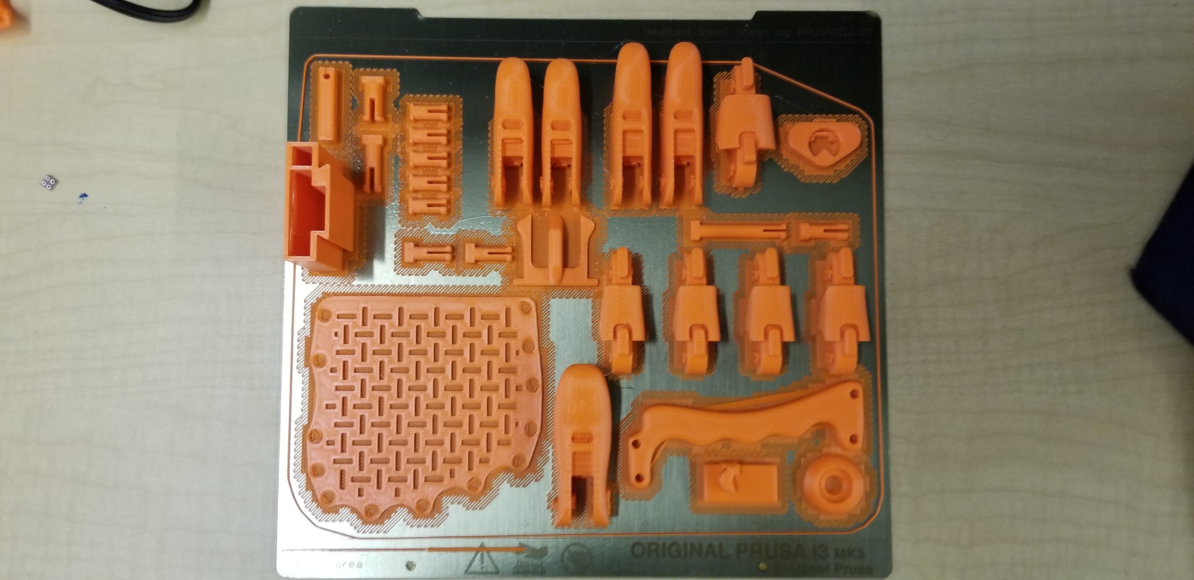 Prosthetic Hand